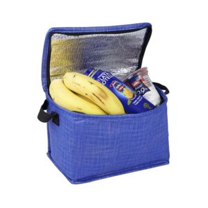 צידנית אישית 6 ליטר עשויה מחומר ממוחזר Non-Woven